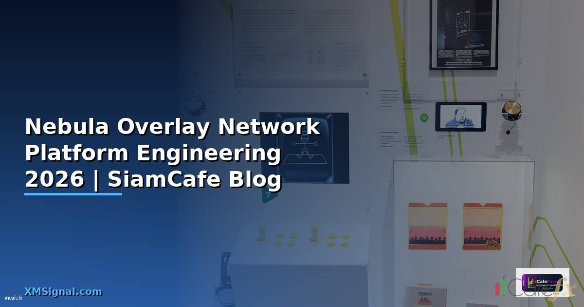 Nebula Overlay Network Platform Engineering
