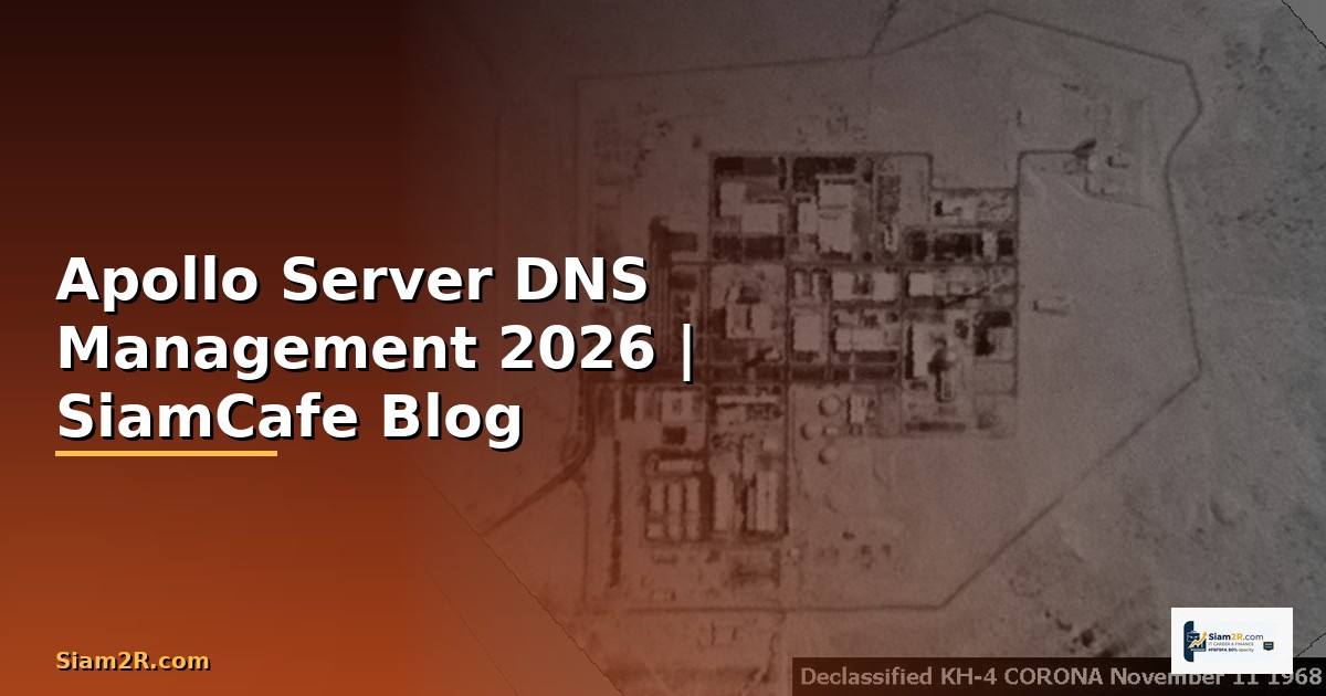 Apollo Server DNS Management