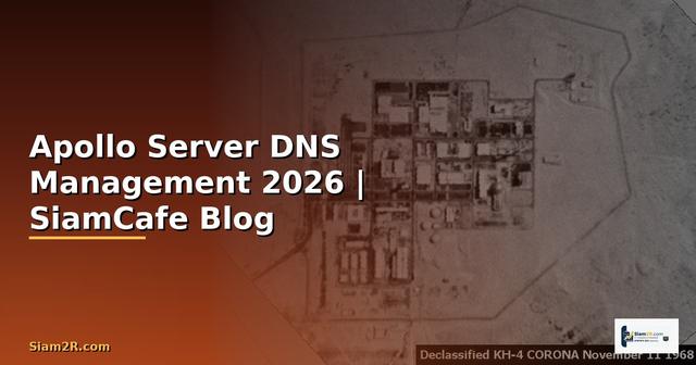 Apollo Server DNS Management