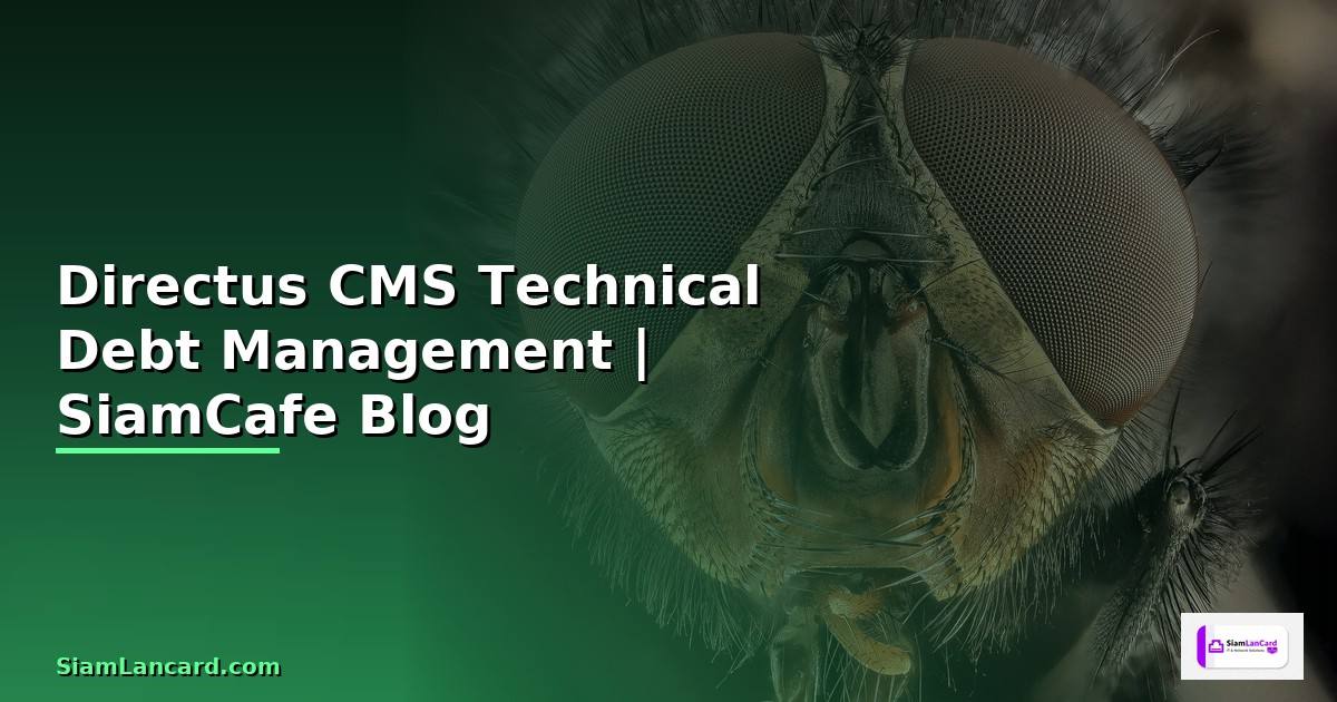 Directus CMS Technical Debt Management