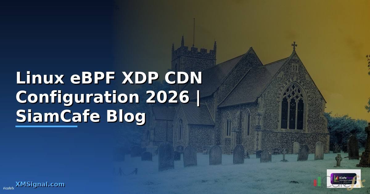 Linux eBPF XDP CDN Configuration