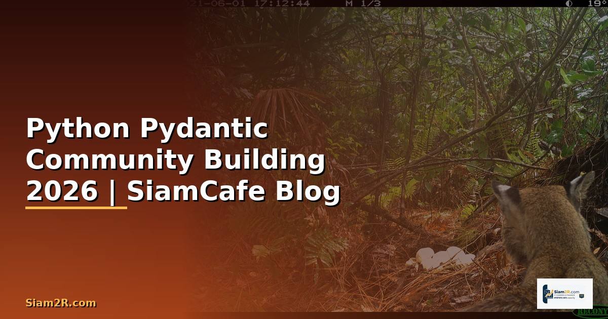 Python Pydantic Community Building