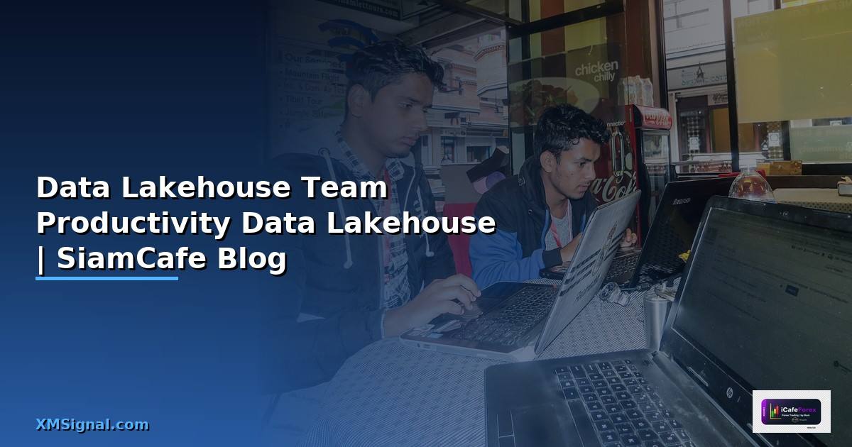 Data Lakehouse Team Productivity —