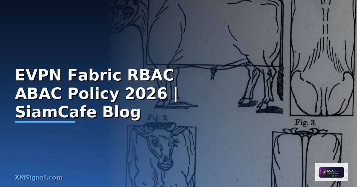 EVPN Fabric RBAC ABAC Policy