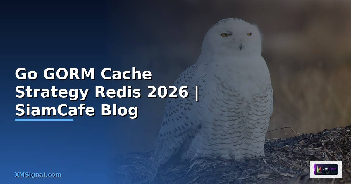 Go GORM Cache Strategy Redis