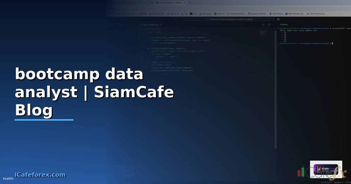 bootcamp data analyst