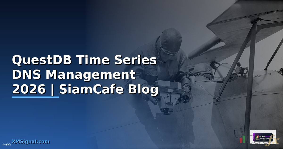 QuestDB Time Series DNS Management