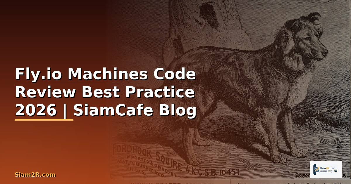 Fly.io Machines Code Review Best Practice