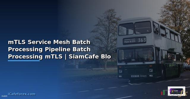 mTLS Service Mesh Batch Processing Pipeline — ความปลอดภัย Batch Processing ด้วย mTLS