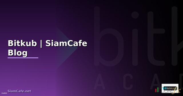 ขาว Bitkub — คู่มือฉบับสมบูรณ์ 2026