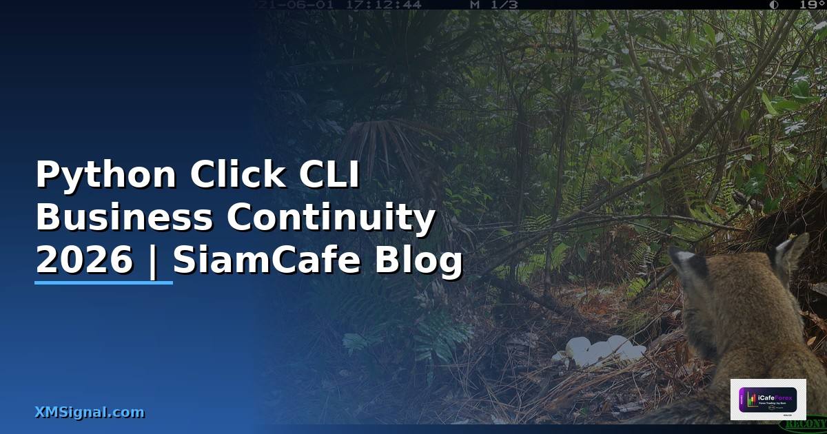 Python Click CLI Business Continuity