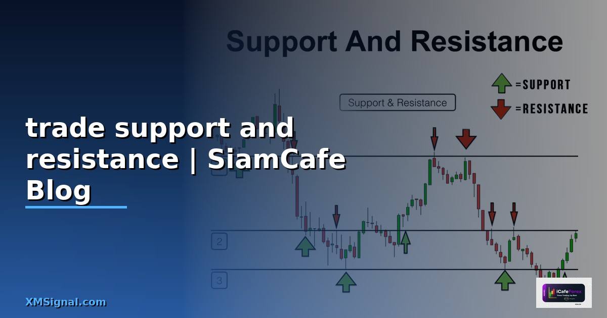 trade support and resistance
