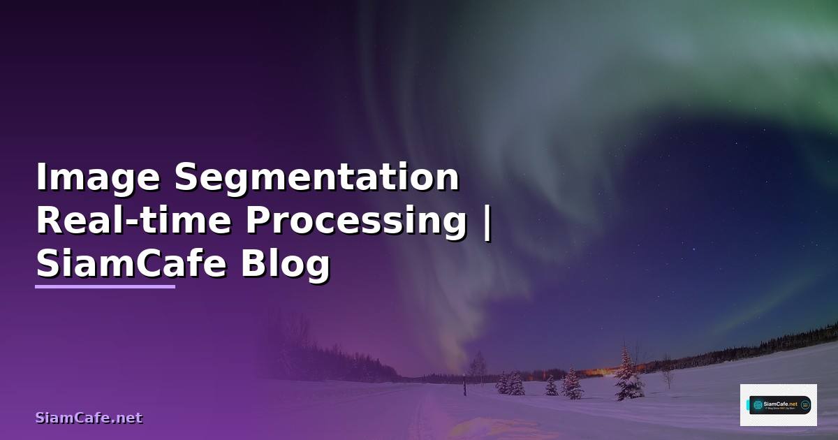 Image Segmentation Real-time Processing