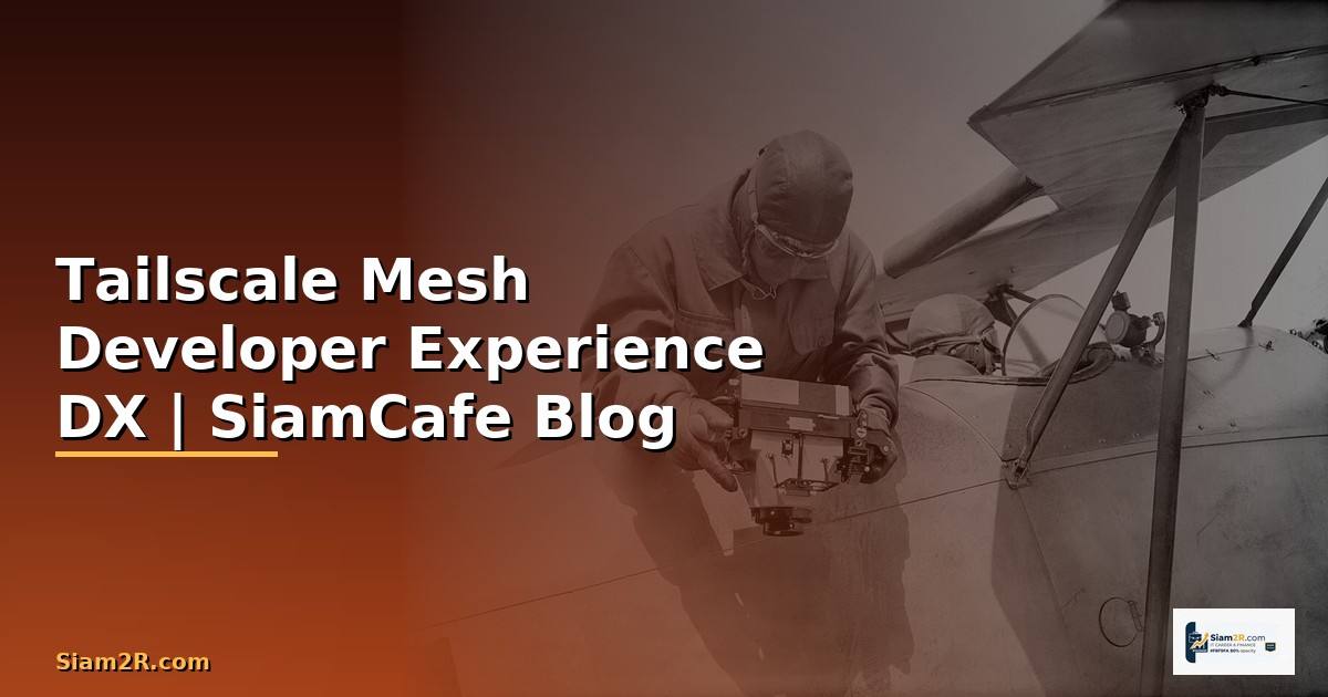 Tailscale Mesh Developer Experience DX