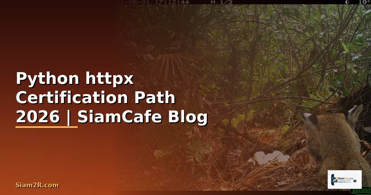 Python httpx Certification Path