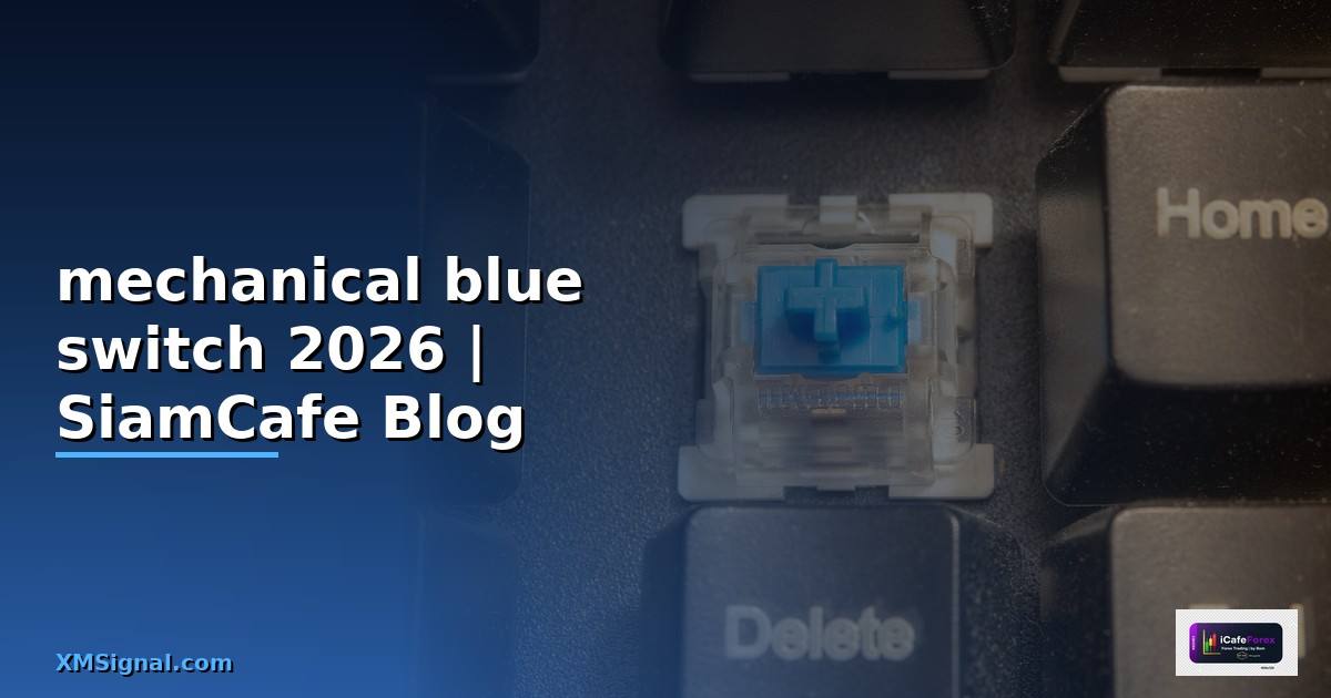คีย์บอร์ด mechanical blue switch แนะนํา