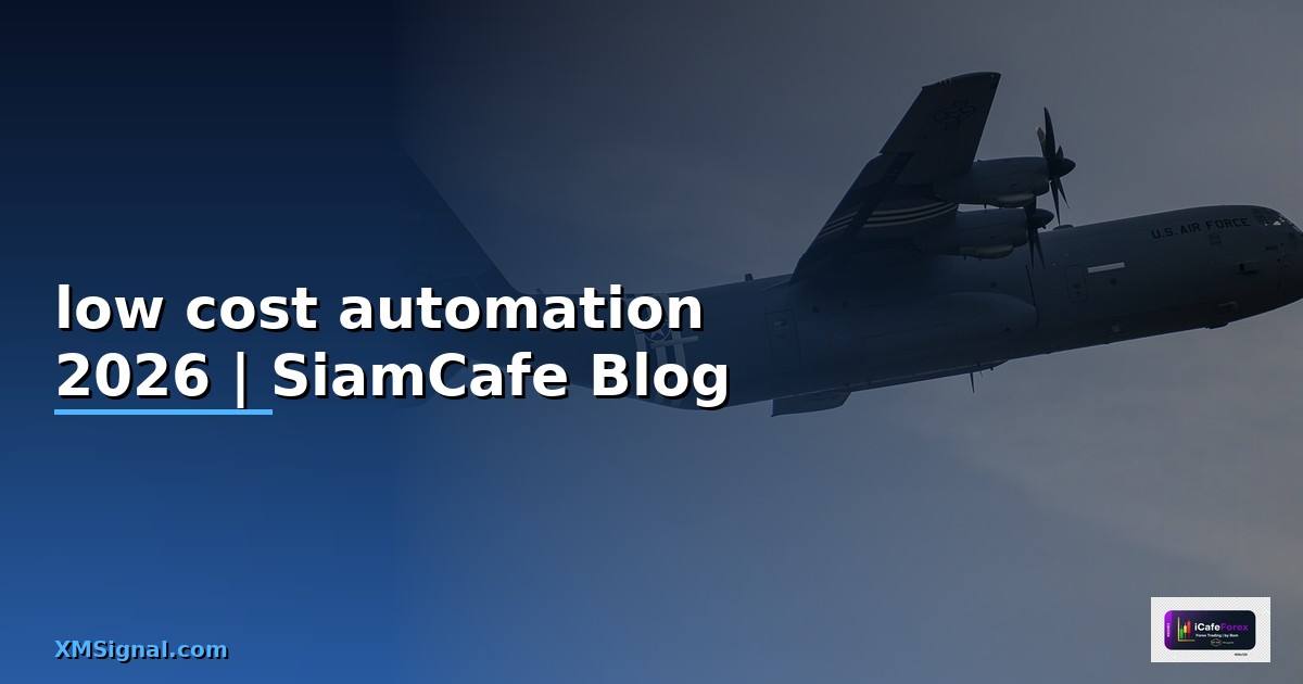 low cost automation คือ
