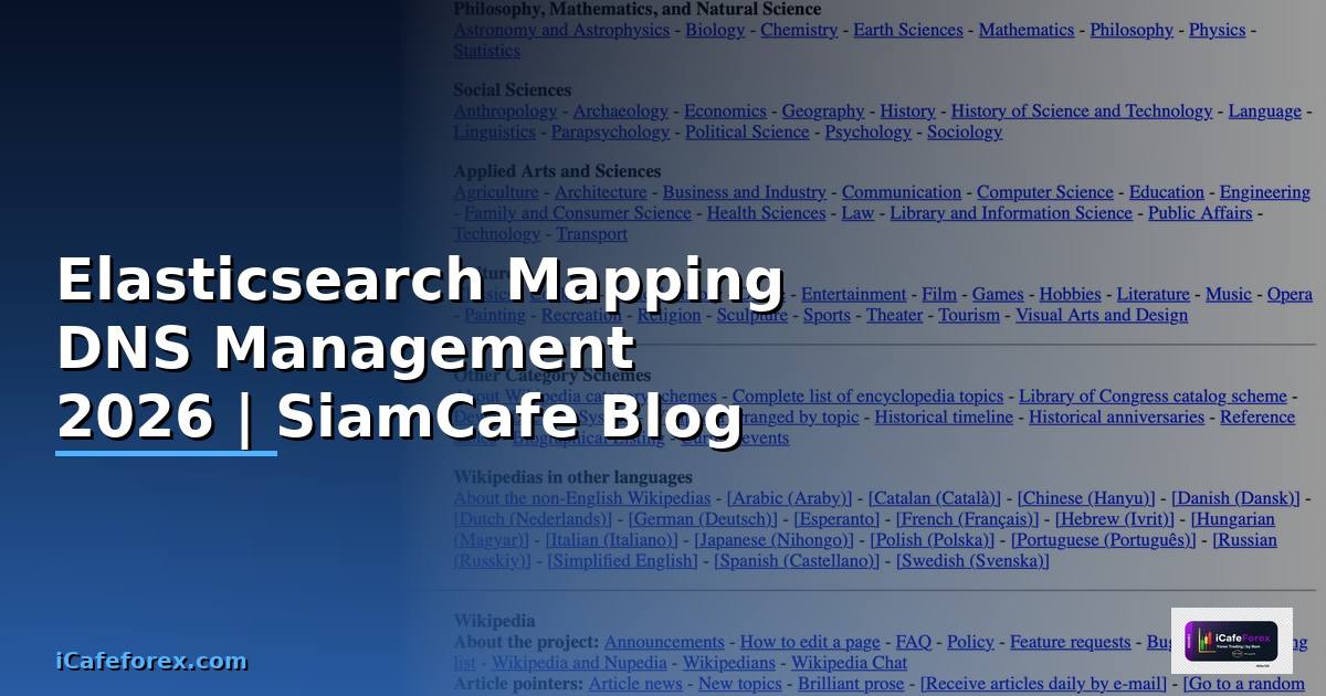 Elasticsearch Mapping DNS Management