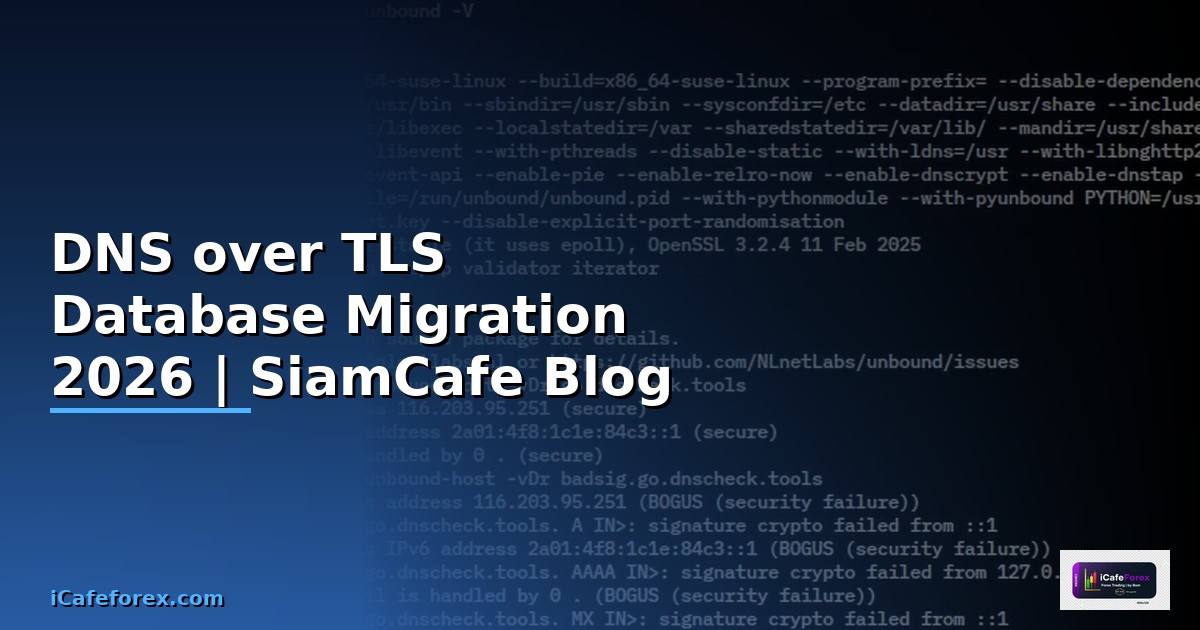 DNS over TLS Database Migration