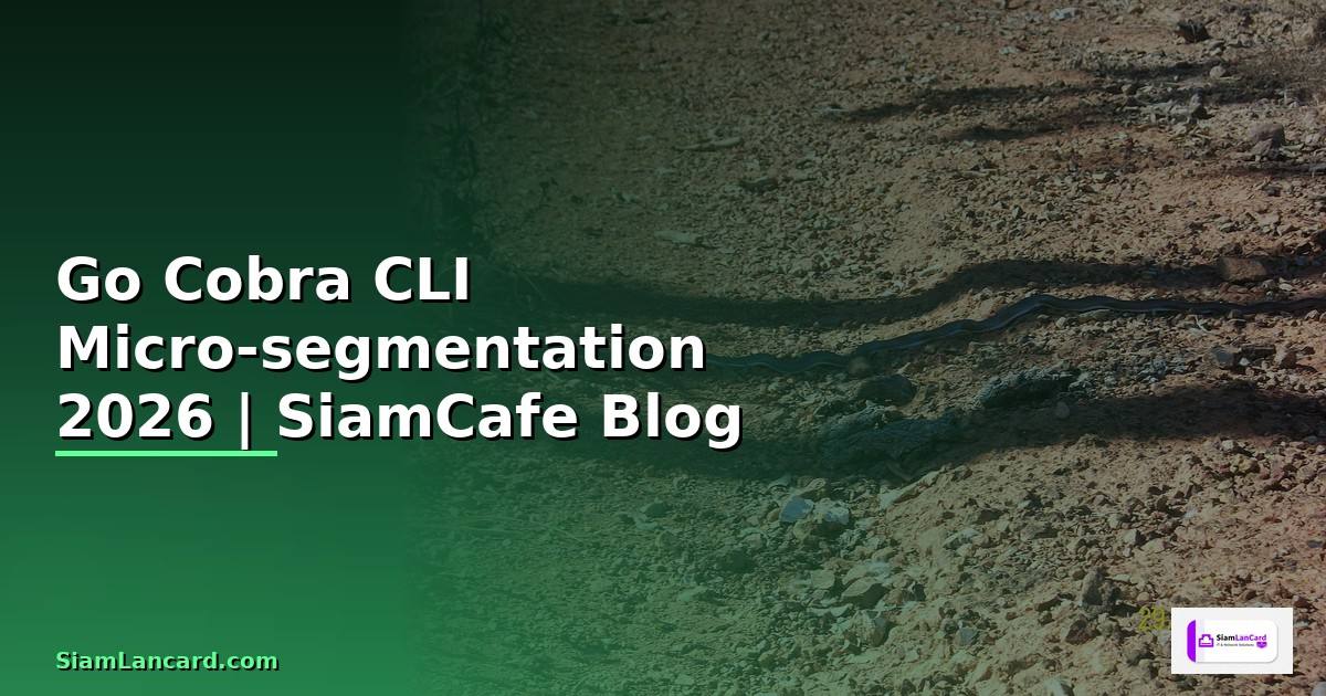 Go Cobra CLI Micro-segmentation