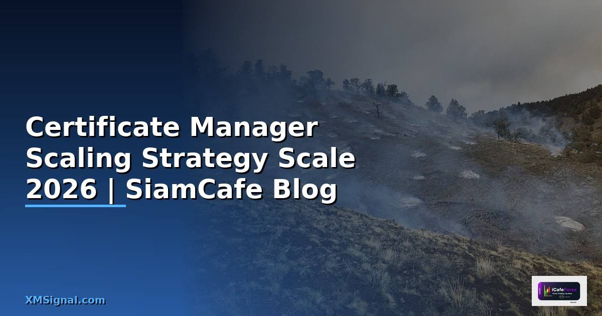 Certificate Manager Scaling Strategy วิธี Scale