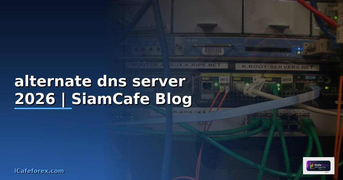 alternate dns server คือ