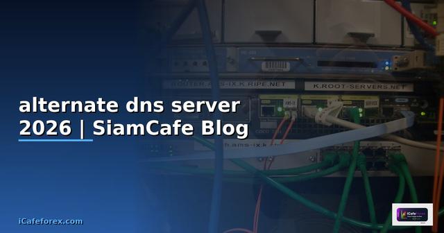 alternate dns server คือ
