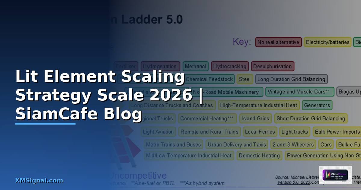 Lit Element Scaling Strategy วิธี Scale —