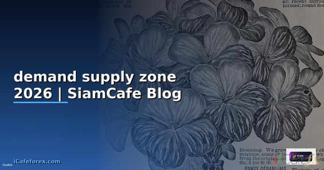 การหา demand supply zone