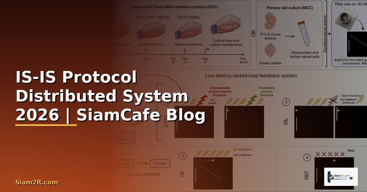 IS-IS Protocol Distributed System —
