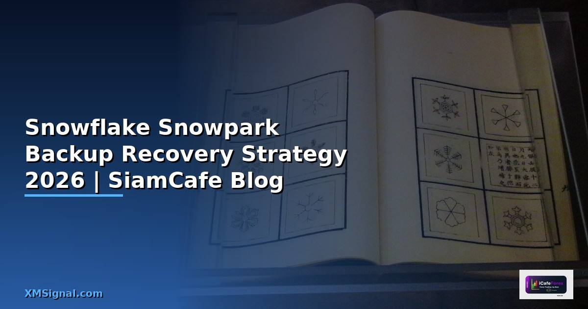 Snowflake Snowpark Backup Recovery Strategy