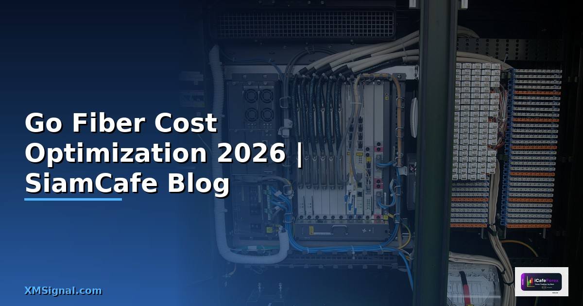 Go Fiber Cost Optimization ลดค่าใช้จ่าย
