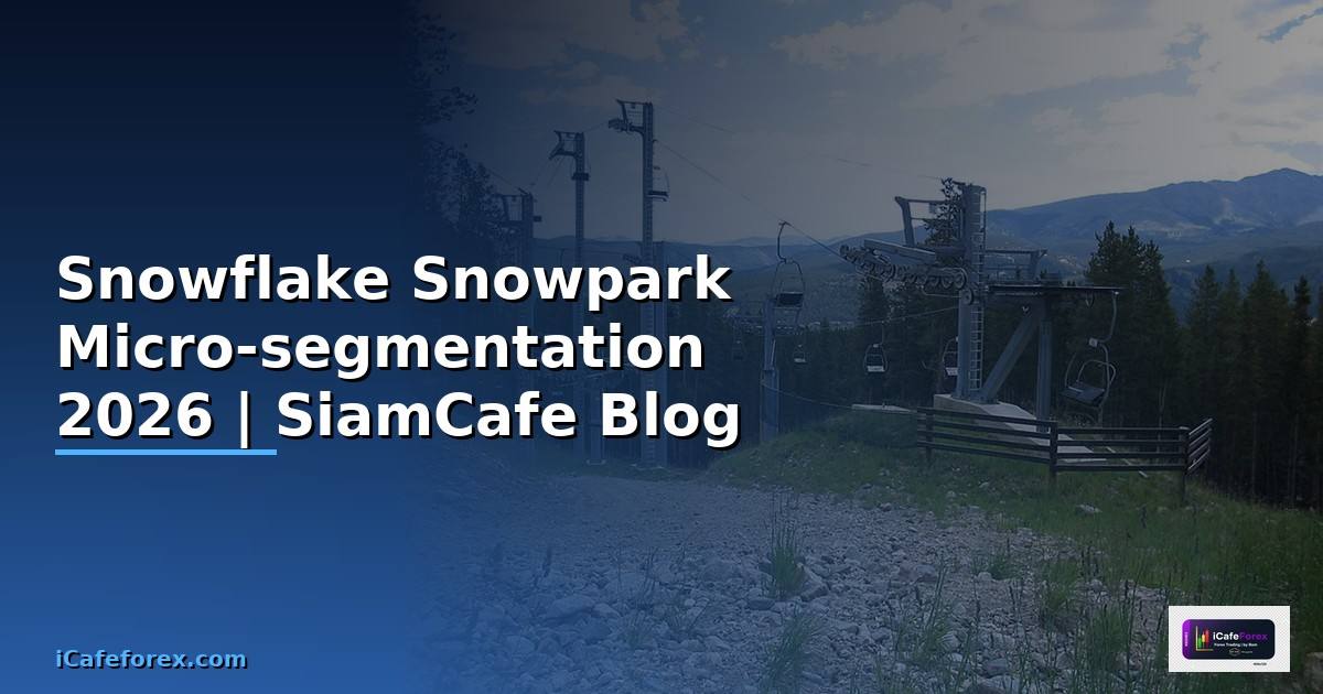 Snowflake Snowpark Micro-segmentation
