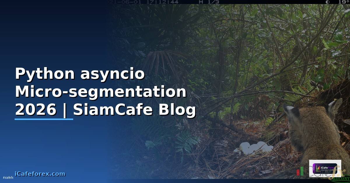 Python asyncio Micro-segmentation