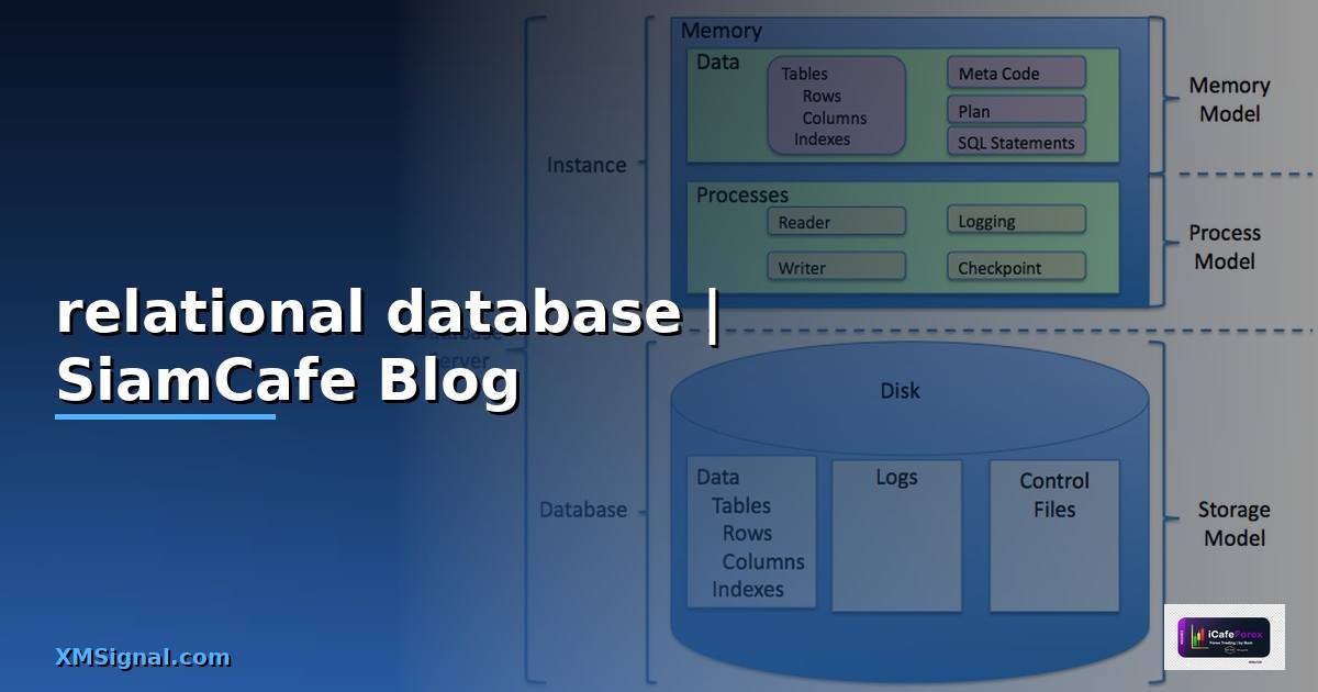 relational database คือ