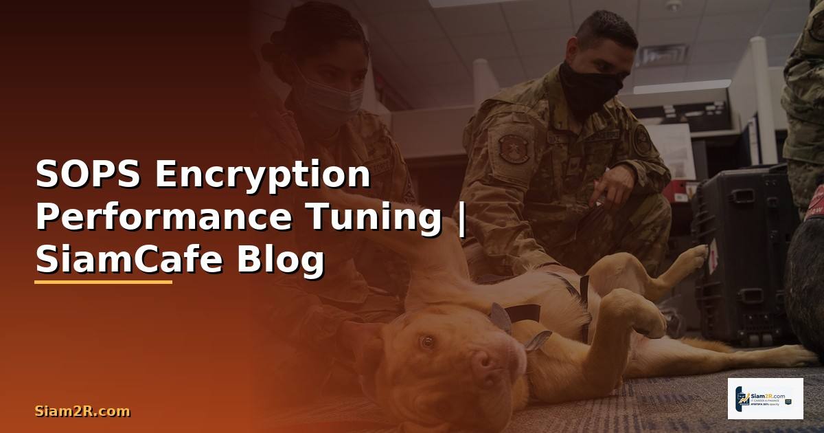SOPS Encryption Performance Tuning เพิ่มความเร็ว