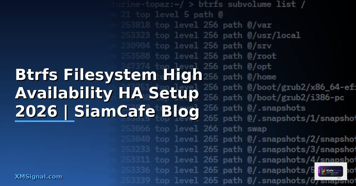 Btrfs Filesystem High Availability HA Setup