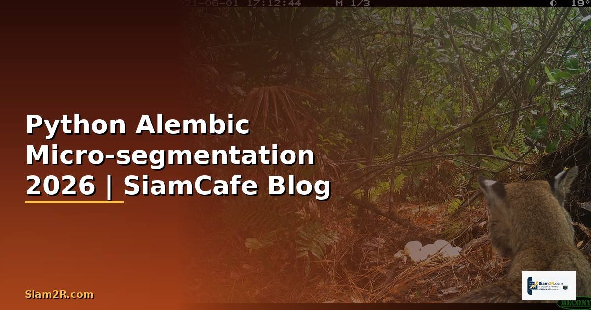 Python Alembic Micro-segmentation
