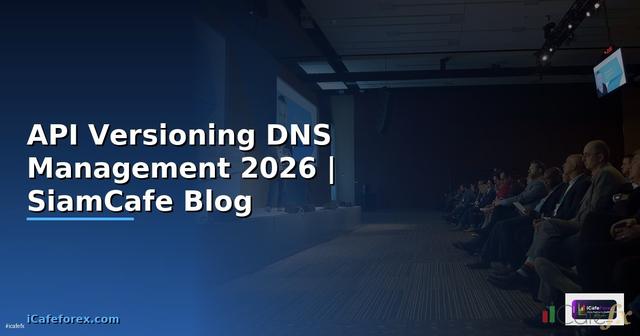 API Versioning DNS Management