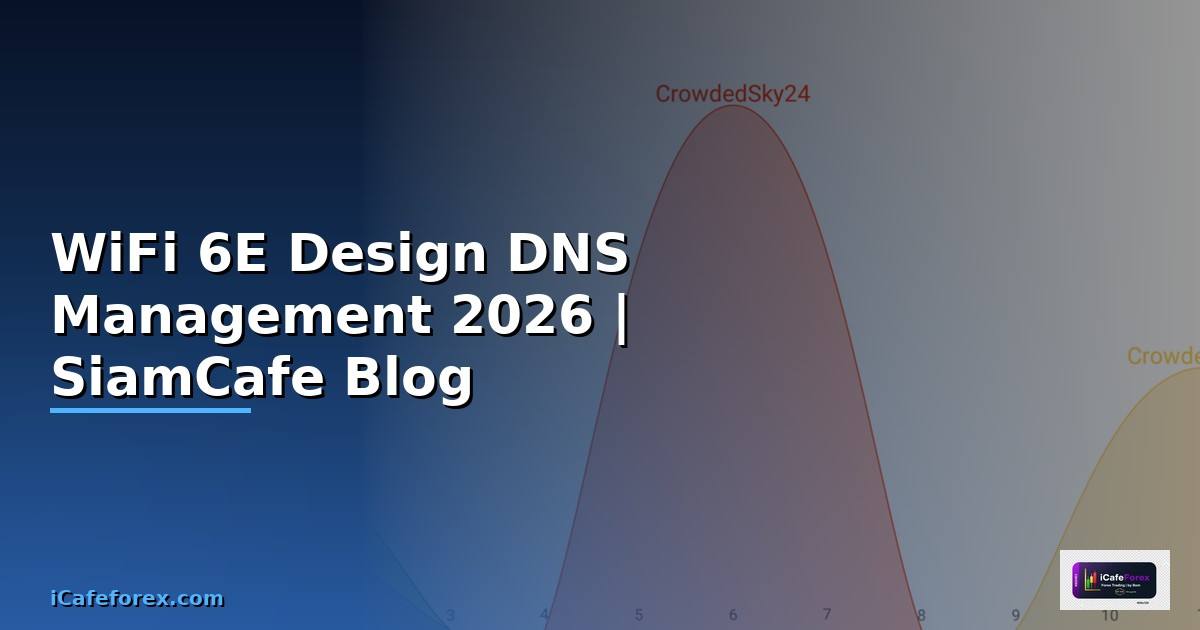WiFi 6E Design DNS Management