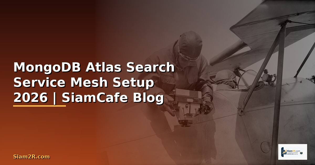 MongoDB Atlas Search Service Mesh Setup