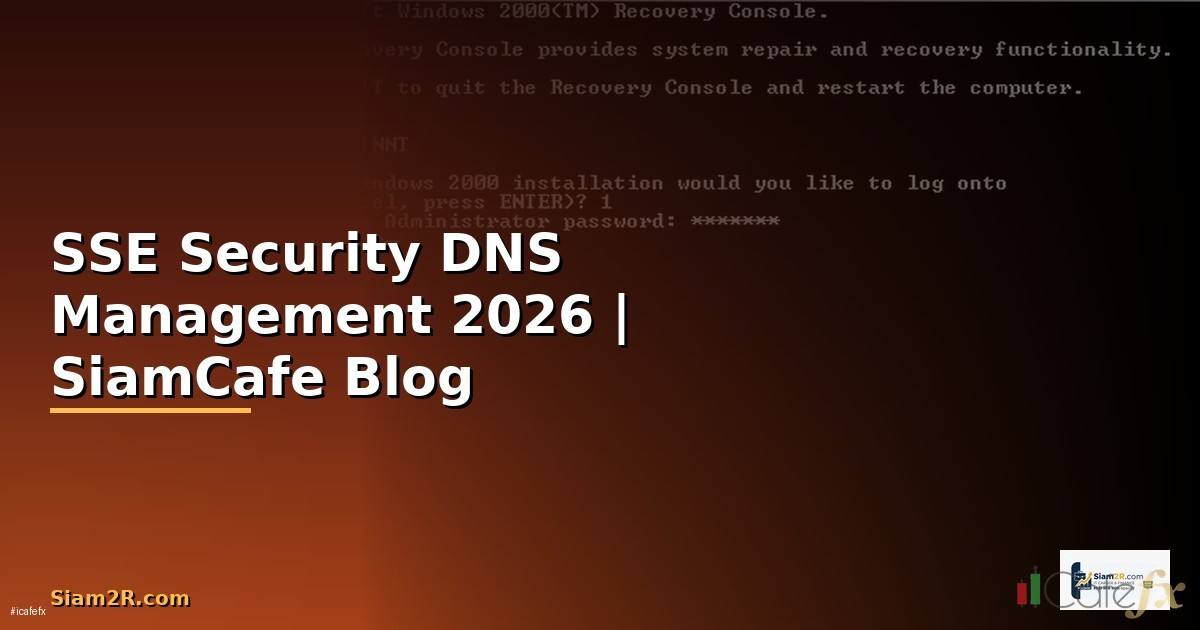SSE Security DNS Management