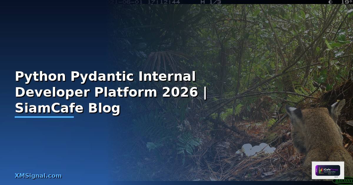 Python Pydantic Internal Developer Platform