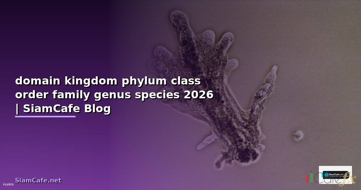 domain kingdom phylum class order family genus