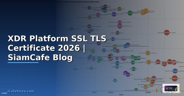 XDR Platform SSL TLS Certificate