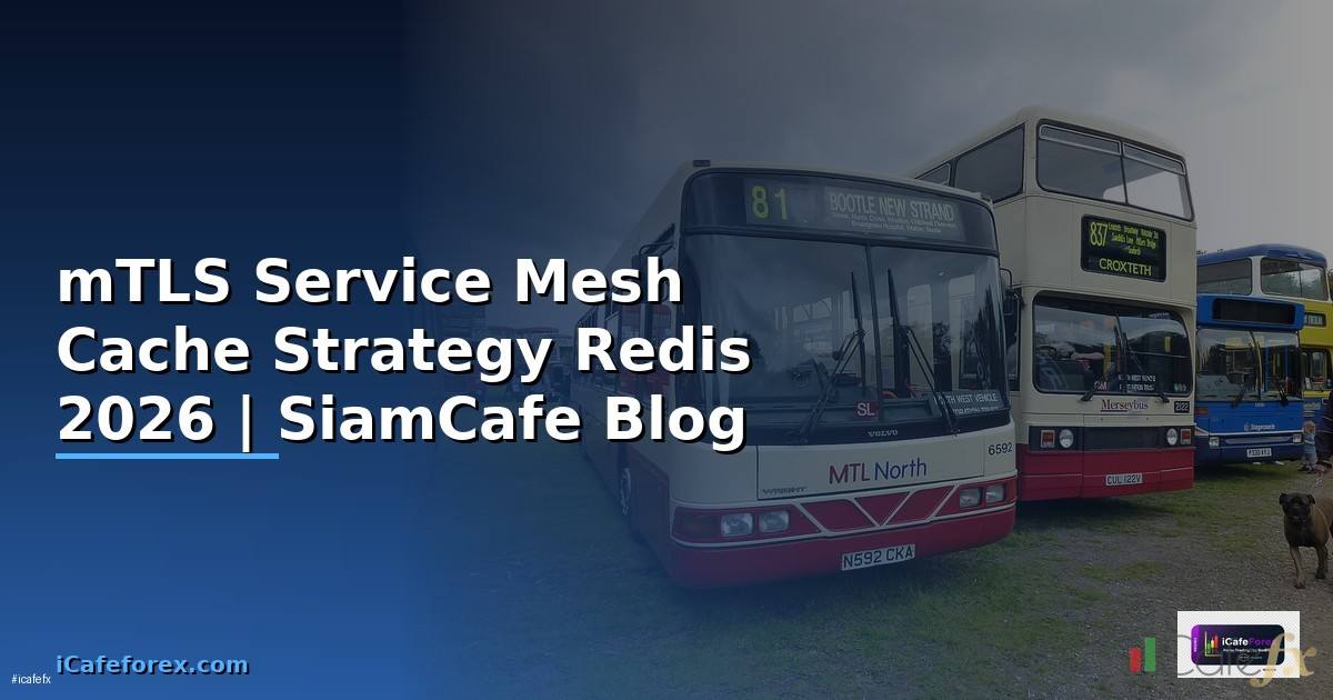 mTLS Service Mesh Cache Strategy Redis