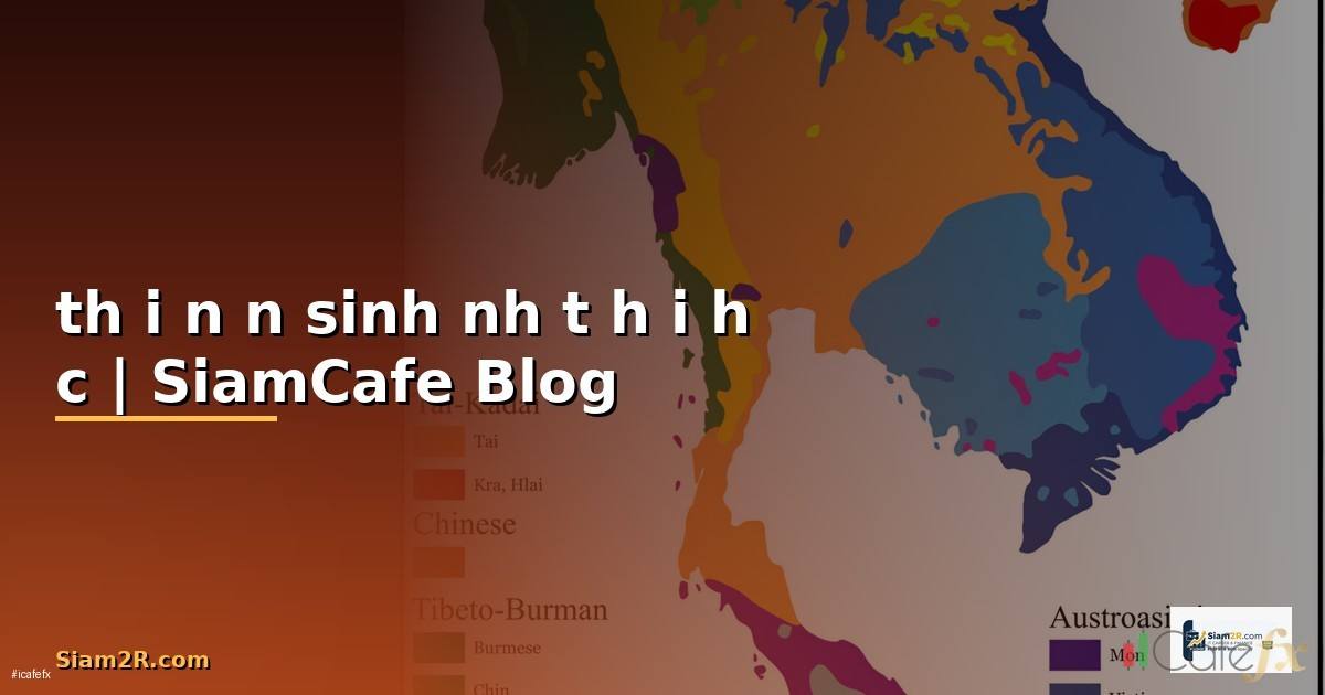 thổi nến sinh nhật — ข้อมูลครบถ้วน 2026