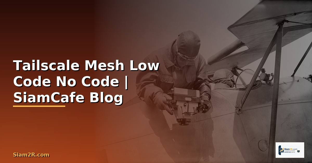 Tailscale Mesh Low Code No Code