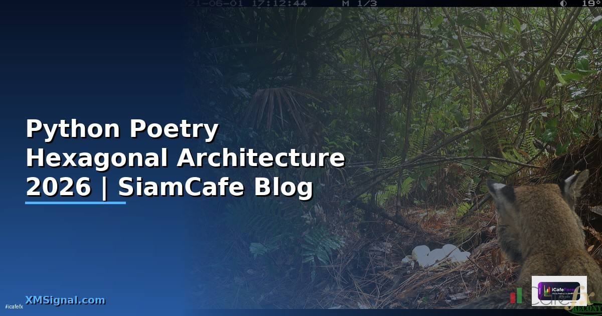 Python Poetry Hexagonal Architecture