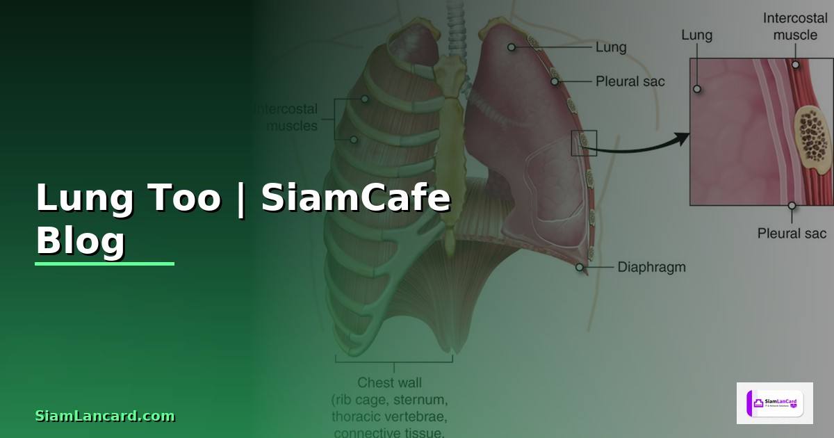 Lung Too — คู่มือฉบับสมบูรณ์ 2026